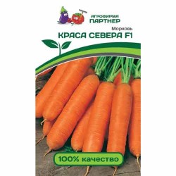 Морковь Краса Севера F1 Партнер (92673): купить семена почтой в России | интернет-магазин Беккер