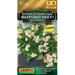 Бегония вечноцветущая махровая Фея белоснежная F1 Аэлита (40304): купить семена почтой в России | интернет-магазин Беккер