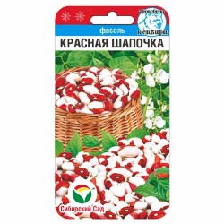 Фасоль овощная Красная шапочка Сибирский сад (40644): купить семена почтой в России | интернет-магазин Беккер