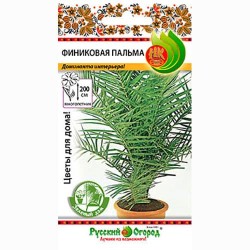 Пальма Финиковая Русский огород НК (92597): купить семена почтой в России | интернет-магазин Беккер