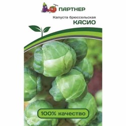 Капуста брюссельская Касио Партнер (73446): купить семена почтой в России | интернет-магазин Беккер