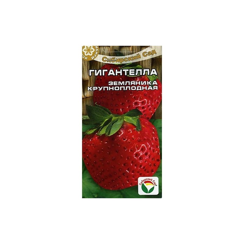 Земляника (крупноплодная) Гигантелла Сибирский сад (65231): купить семена почтой в России | интернет-магазин Беккер