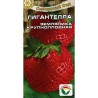 Земляника (крупноплодная) Гигантелла Сибирский сад (65231): купить семена почтой в России | интернет-магазин Беккер