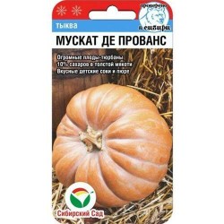 Тыква мускатная Мускат де Прованс Сибирский сад (65421): купить семена почтой в России | интернет-магазин Беккер