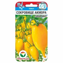 Томат Сокровище Акмора Сибирико Сибирский сад (88099): купить семена почтой в России | интернет-магазин Беккер