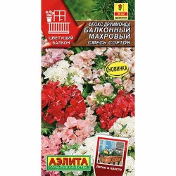 Флокс друммонда Балконный махровый, смесь окрасок Аэлита (99161): купить семена почтой в России | интернет-магазин Беккер