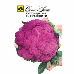 Капуста цветная Граффити F1 Семко (94242): купить семена почтой в России | интернет-магазин Беккер