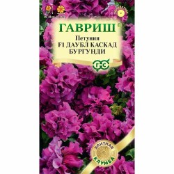 Петуния махровая крупноцветковая Даубл Каскад Бургунди F1 Гавриш (40593): купить семена почтой в России | интернет-магазин Бекке