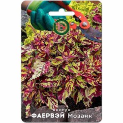 Колеус Фаервэй Мозаик Биотехника (87961): купить семена почтой в России | интернет-магазин Беккер