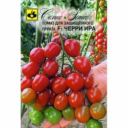 Томат черри Ира F1 Семко (82562): купить семена почтой в России | интернет-магазин Беккер
