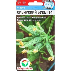 Огурец Сибирский букет F1 Сибирский сад (65398): купить семена почтой в России | интернет-магазин Беккер