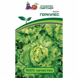Салат листовой Геркулес Партнер (81042): купить семена почтой в России | интернет-магазин Беккер