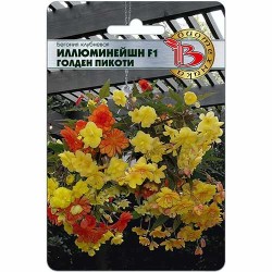 Бегония клубневая Иллюминейшн Голден Пикоти F1 Биотехника (84614): купить семена почтой в России | интернет-магазин Беккер
