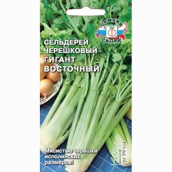 Сельдерей черешковый Гигант Восточный Седек (71678): купить семена почтой в России | интернет-магазин Беккер