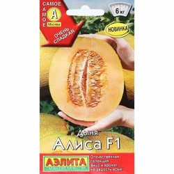 Дыня Алиса F1 Аэлита (40036): купить семена почтой в России | интернет-магазин Беккер