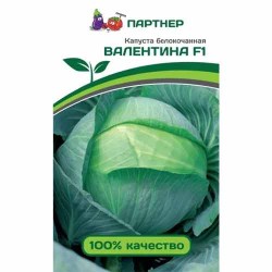 Капуста белокочанная Валентина F1 Партнер (81008): купить семена почтой в России | интернет-магазин Беккер