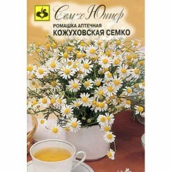 Ромашка аптечная Кожуховская Семко Семко (94270): купить семена почтой в России | интернет-магазин Беккер