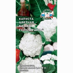 Капуста цветная Белая головушка Седек (65113): купить семена почтой в России | интернет-магазин Беккер