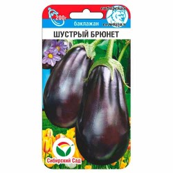 Баклажан Шустрый брюнет Сибирский сад (40866): купить семена почтой в России | интернет-магазин Беккер