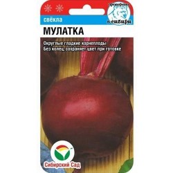 Свекла столовая Мулатка Сибирский сад (82829): купить семена почтой в России | интернет-магазин Беккер