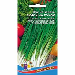 Лук на зелень Лучок на пучок Уральский дачник (83026): купить семена почтой в России | интернет-магазин Беккер