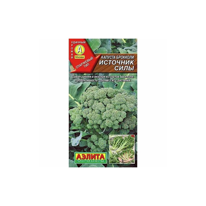 Капуста брокколи Источник силы Аэлита (40063): купить семена почтой в России | интернет-магазин Беккер Капуста брокколи Источник силы Аэлита (40063): купить семена почтой в России | интернет-магазин Беккер
