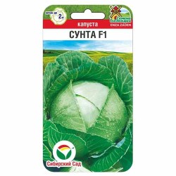 Капуста белокочанная Сунта F1 Сибирский сад (88107): купить семена почтой в России | интернет-магазин Беккер