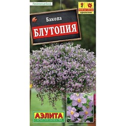 Бакопа Блутопия Аэлита (98862): купить семена почтой в России | интернет-магазин Беккер