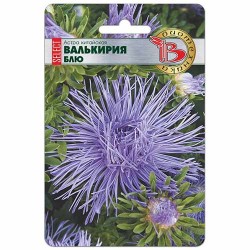 Астра китайская Валькирия селект Блю Биотехника (74787): купить семена почтой в России | интернет-магазин Беккер