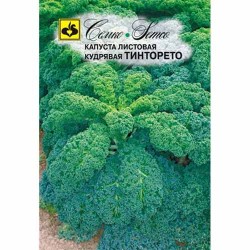 Капуста листовая (кале) Тинторето Семко (94239): купить семена почтой в России | интернет-магазин Беккер