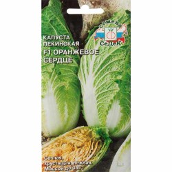 Капуста пекинская Оранжевое Сердце F1 Седек (40465): купить семена почтой в России | интернет-магазин Беккер