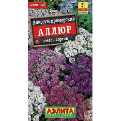 Алиссум Аллюр, смесь окрасок Аэлита (40263): купить семена почтой в России | интернет-магазин Беккер