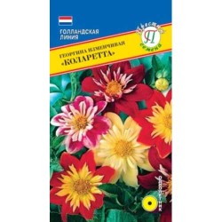 Георгина изменчивая Коларетта, смесь окрасок Престиж (71431): купить семена почтой в России | интернет-магазин Беккер