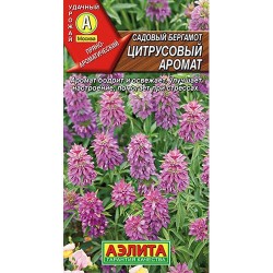 Бергамот садовый Цитрусовый аромат Аэлита (98209): купить семена почтой в России | интернет-магазин Беккер