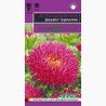 Астра игольчато-коготковая Джувел Турмалин Гавриш (97581): купить семена почтой в России | интернет-магазин Беккер