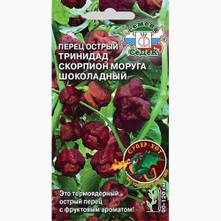 Перец острый Тринидад Скорпион Моруга шоколадный Седек (98057): купить семена почтой в России | интернет-магазин Беккер