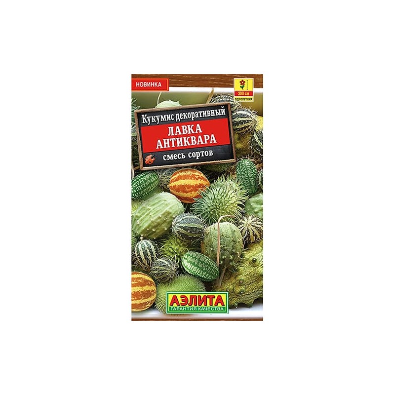 Кукумис декоративный Лавка антиквара, смесь окрасок Аэлита (98979): купить семена почтой в России | интернет-магазин Беккер Кукумис декоративный Лавка антиквара, смесь окрасок Аэлита (98979): купить семена почтой в России | интернет-магазин Беккер