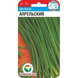 Лук батун Апрельский Сибирский сад (71986): купить семена почтой в России | интернет-магазин Беккер