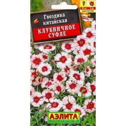 Гвоздика китайская Клубничное суфле Аэлита (98913): купить семена почтой в России | интернет-магазин Беккер