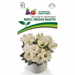 Эустома карликовая Мисс Эбони Бьютти F1 Партнер (97262): купить семена почтой в России | интернет-магазин Беккер