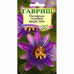 Пассифлора съедобная Маэстро Гавриш (65955): купить семена почтой в России | интернет-магазин Беккер