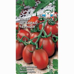 Томат Де Барао черный Седек (71687): купить семена почтой в России | интернет-магазин Беккер