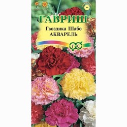 Гвоздика садовая Шабо Акварель, смесь окрасок Гавриш (66056): купить семена почтой в России | интернет-магазин Беккер