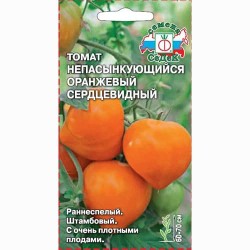 Томат Непасынкующийся оранжевый сердцевидный Седек (71719): купить семена почтой в России | интернет-магазин Беккер