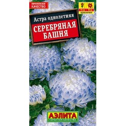 Астра Серебряная башня Гавриш (97592): купить семена почтой в России | интернет-магазин Беккер