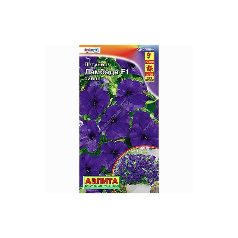 Петуния многоцветковая Ламбада синяя F1 Аэлита (99084): купить семена почтой в России | интернет-магазин Беккер Петуния многоцветковая Ламбада синяя F1 Аэлита (99084): купить семена почтой в России | интернет-магазин Беккер