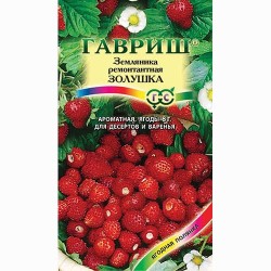 Земляника мелкоплодная ремонтантная Золушка Гавриш (65240): купить семена почтой в России | интернет-магазин Беккер