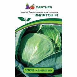 Капуста белокочанная Килатон F1 Партнер (84837): купить семена почтой в России | интернет-магазин Беккер