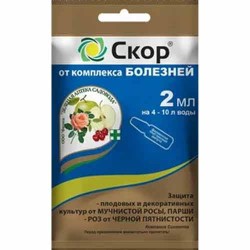 Средство для защиты от болезней Скор (83312): купить товары для дома и сада почтой в России | интернет-магазин Беккер
