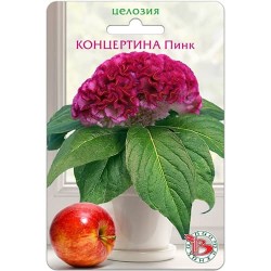 Целозия горшечная Концертина Пинк Биотехника (97353): купить семена почтой в России | интернет-магазин Беккер